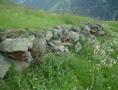 #6: the point is just below this stone wall - der Punkt befindet sich just unterhalb des Steingemäuers