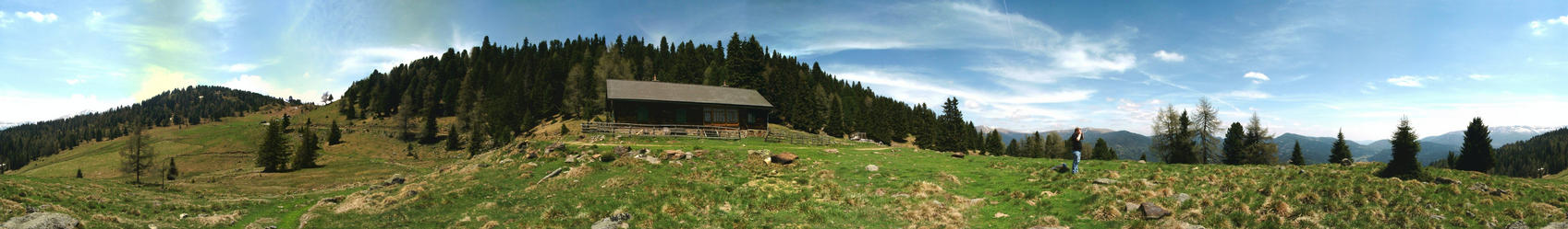 great Panorama close to the timberline, some 200 m above the Confluence