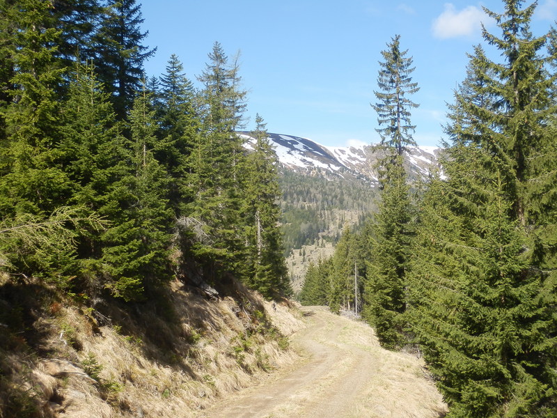 Track to the Confluence