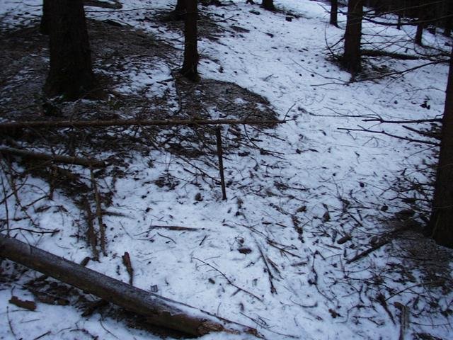 The confluence is about 50m up to the left