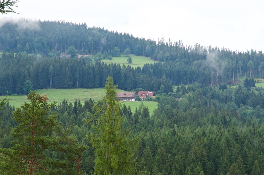 A close-up view of some of the farms to the north