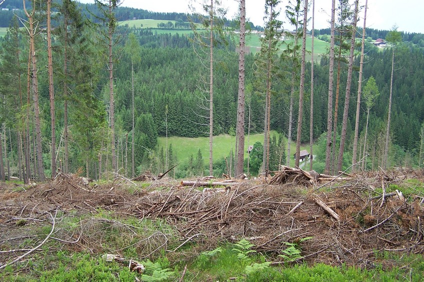 View towards N from the confluence