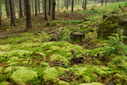 #8: Ground at the CP