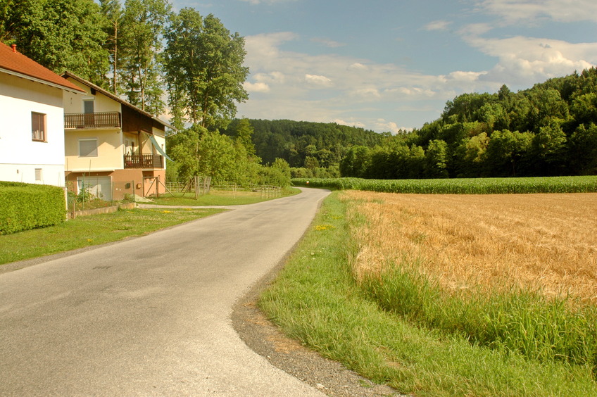 Road (where I arrived from)