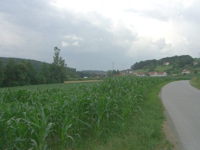 View north / Blick nach Norden