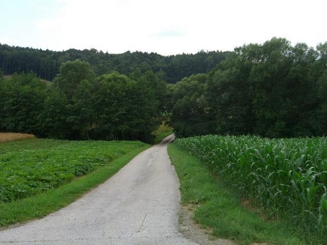 View west / Blick nach Westen