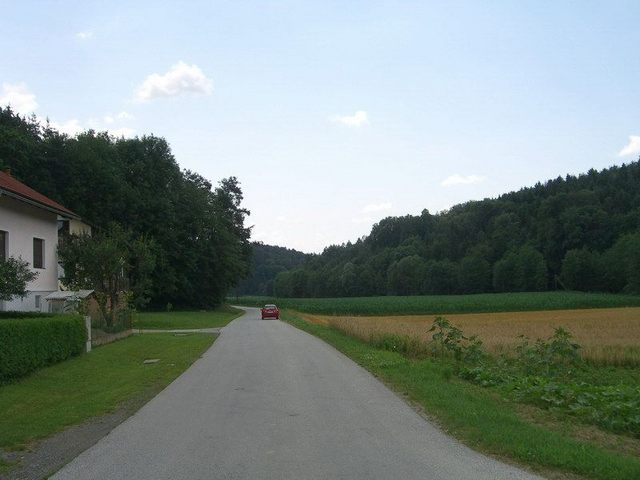 View south / Blick nach Süden