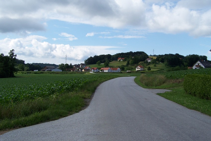 View towards N from the confluence