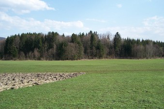 #1: General view of the confluence (towards SE)