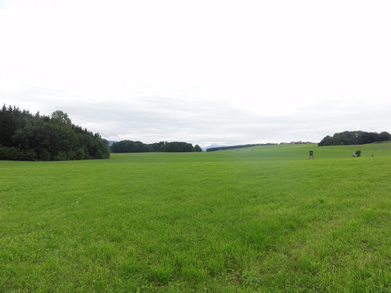 South