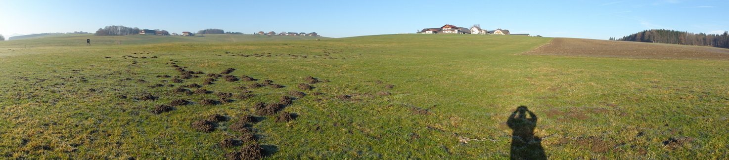 Panoramic view 5 meters east of the point