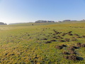 #4: South View
