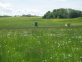 #3: View to the West