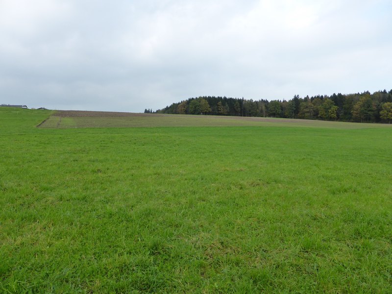 View to the North