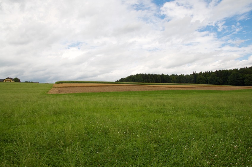 View North (towards wheat and corn fields, and farm buildings)