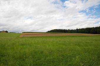 #1: View North (towards wheat and corn fields, and farm buildings)