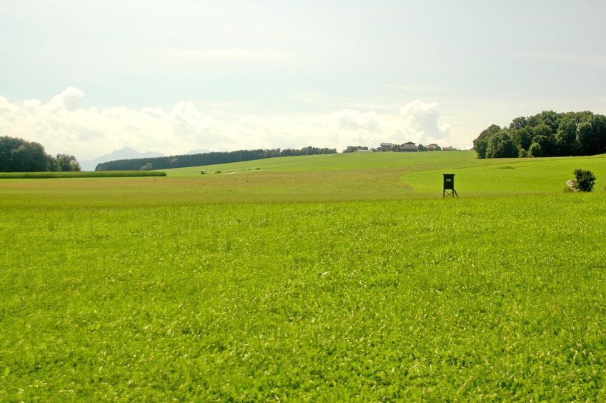 South-west view