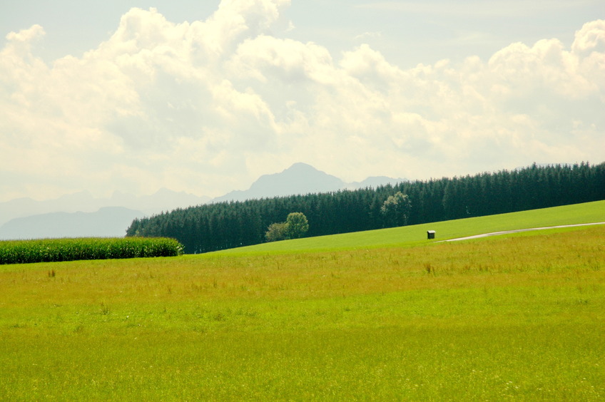 Mountains at the distance (SSW)