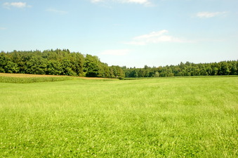 #1: North-east view