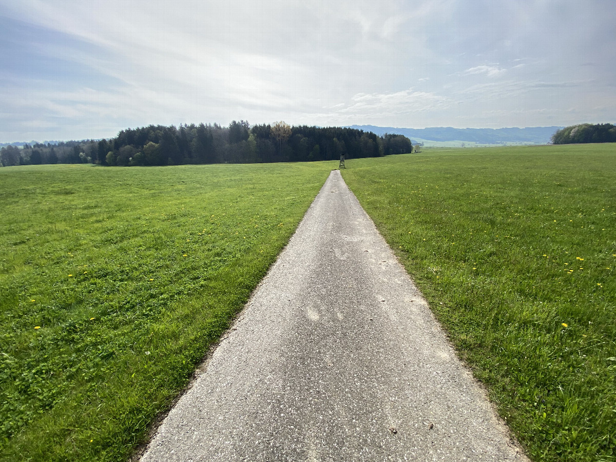 Narrow road leading almost straight to the point, with the confluence in the mid-distance on the left. 