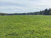 #3: View to the east from the confluence point.