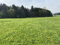 #4: View to the south from the confluence point.