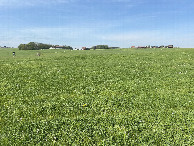 #5: View to the west from the confluence point.