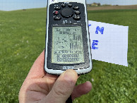 #6: GPS reading at the confluence point. 