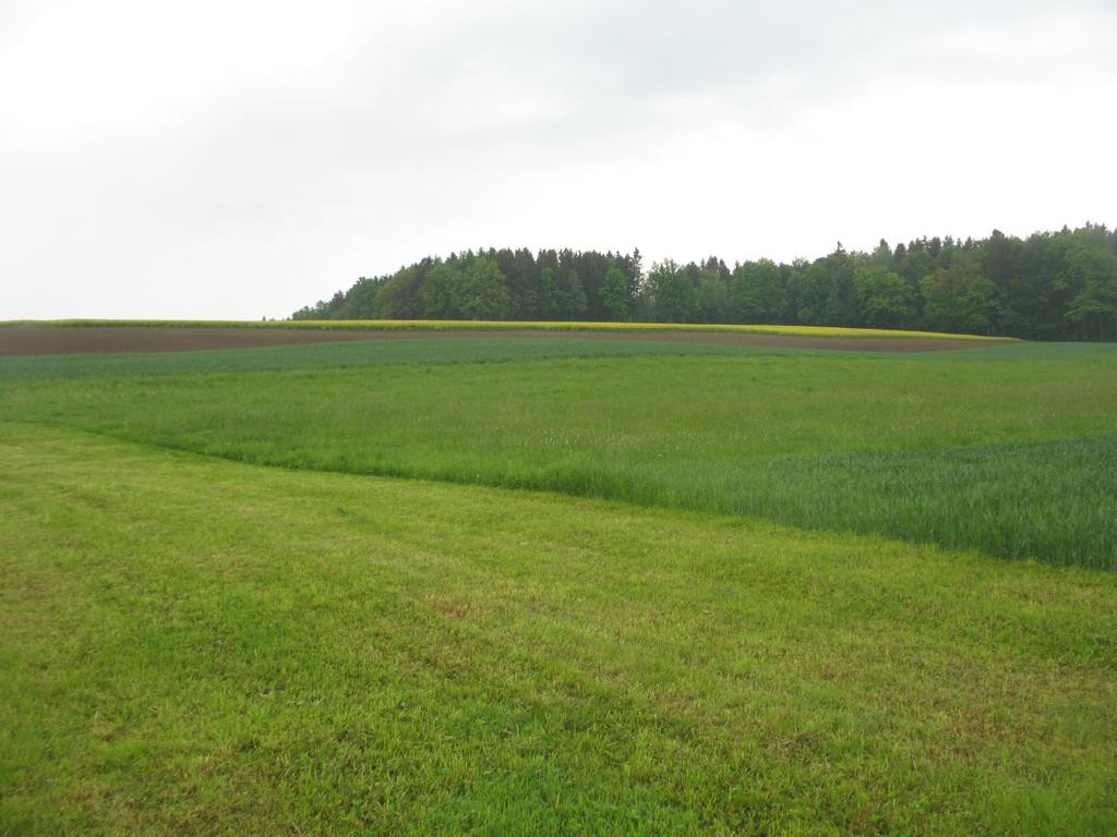 Norden; view north
