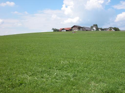 Blick zum CP und nach Gresenberg / View to the CP and to Gresenberg