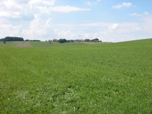 Blick nach Westen / View to the west