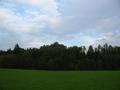 #3: East