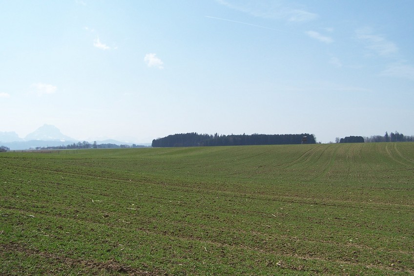 View towards W from the confluence