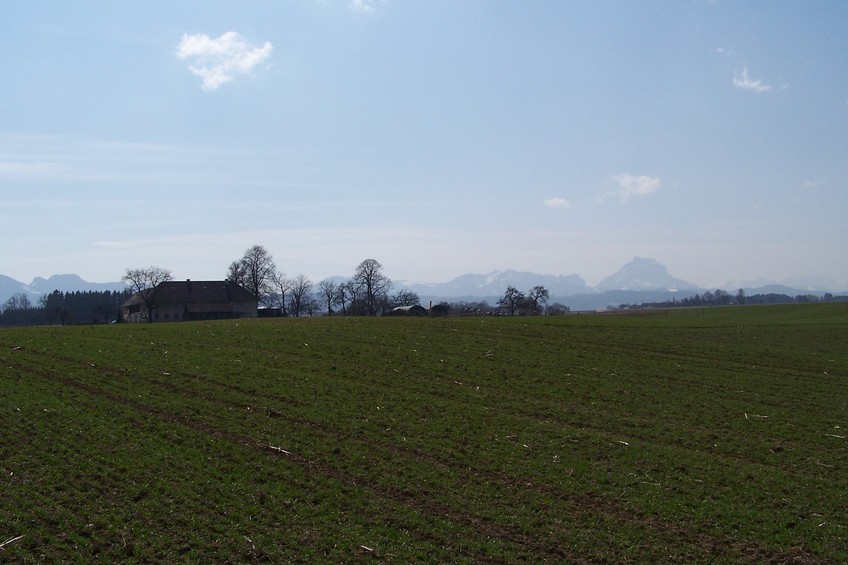 View towards SW from the confluence