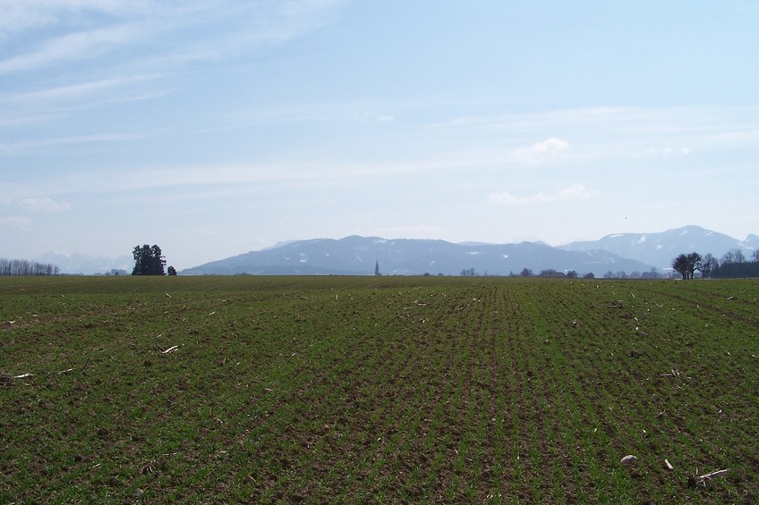 View towards S from the confluence