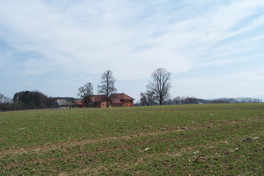 View towards SE from the confluence