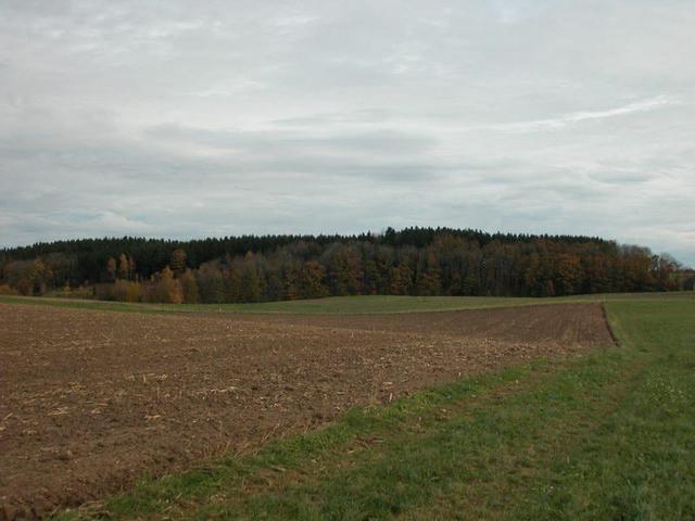 View from the confluence point / Ausblick vom Confluence Punkt