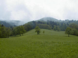 #1: looking from the real confluence to the monument (small white point near the wood on the left side)