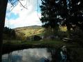 #2: View from the confluence to the north / Blick vom Confluence Punkt nach Norden