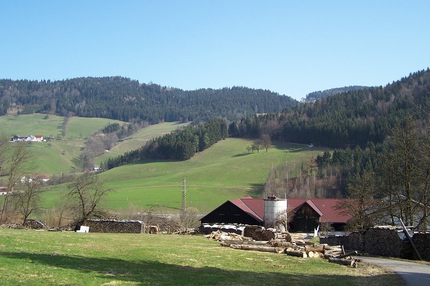 View towards N from the confluence