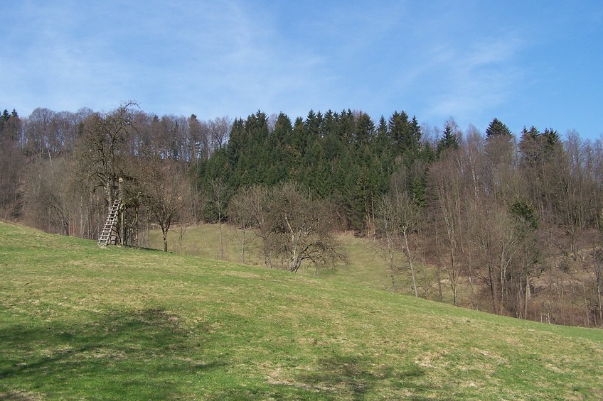 View towards W from the confluence