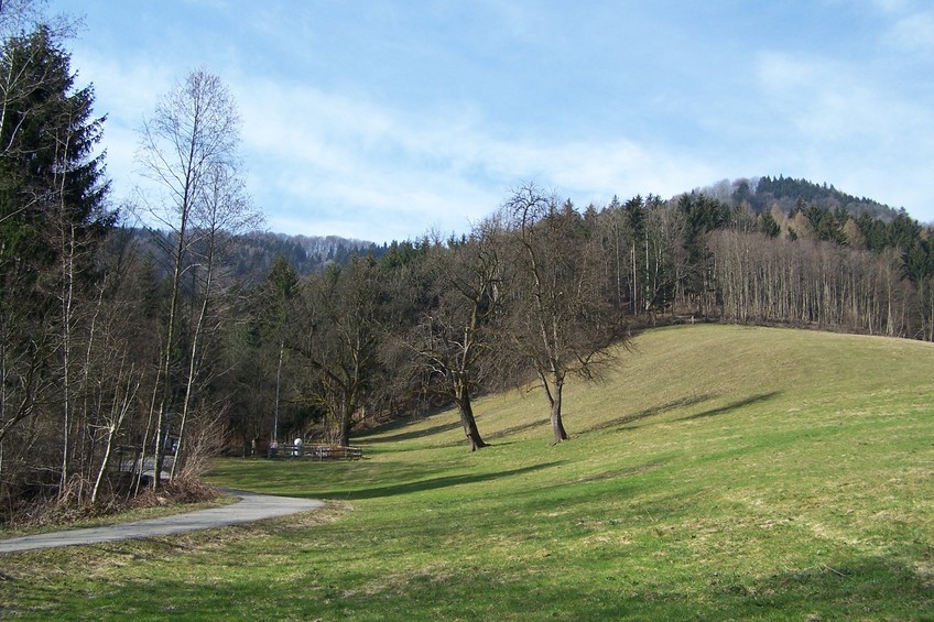 View towards S from the confluence