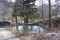 Visit #7: [03-Apr-09]
