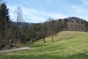 #4: View towards S from the confluence