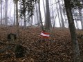 #3: The confluence with austrian flag