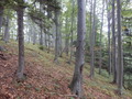 #5: View to the East