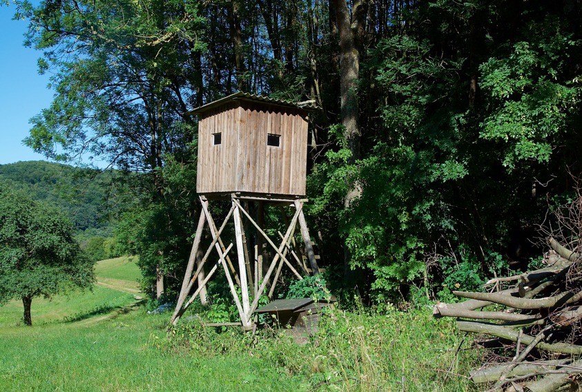 A hunting blind in a field about 1 km (2 km on foot) from the point