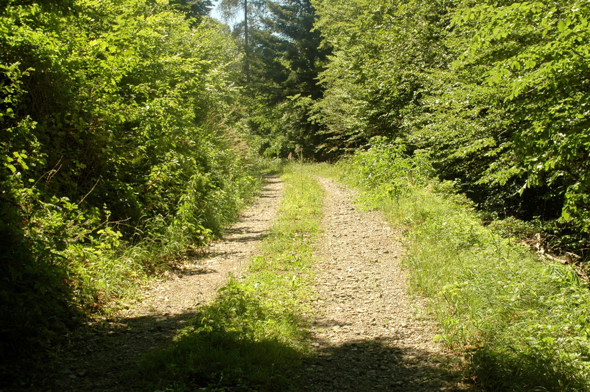 A road on the slope