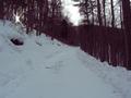 #8: Beautiful Walk