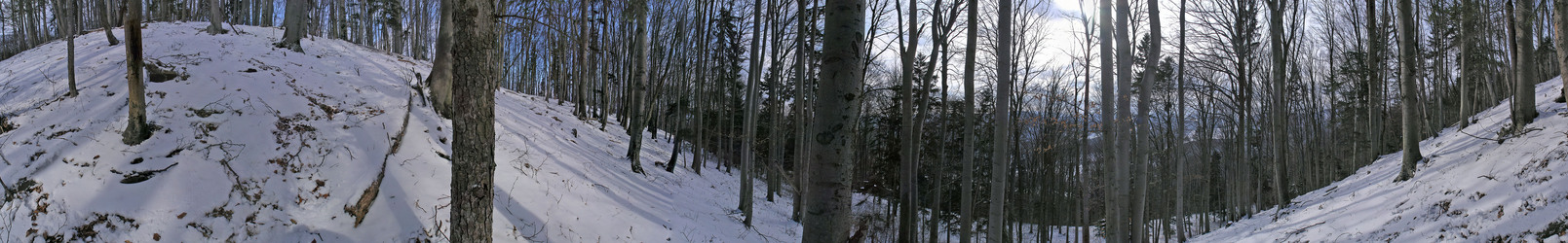 350-degree panorama from the exact point